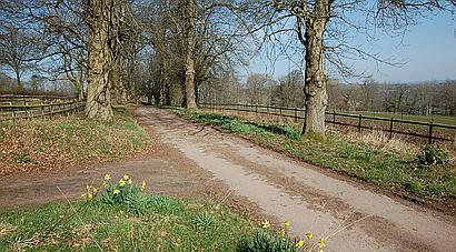 Calverleigh DEVON