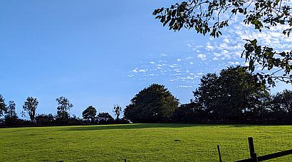 Calverleigh DEVON