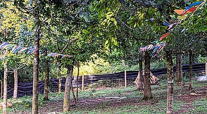 Calverleigh DEVON