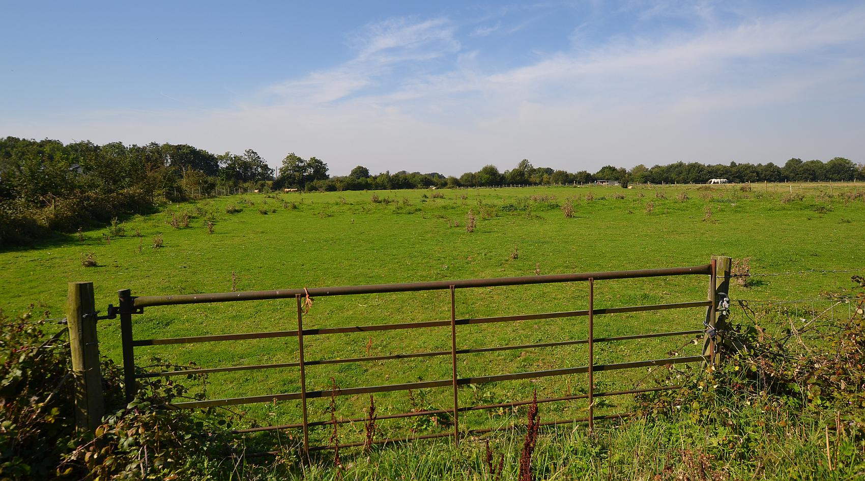 Lambourn BERKSHIRE
