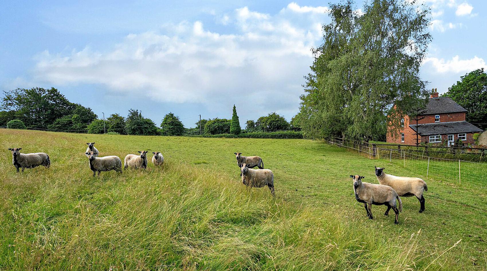 Devizes WILTSHIRE