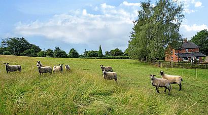 Devizes WILTSHIRE