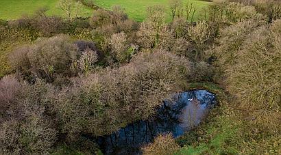 Dihewyd CEREDIGION