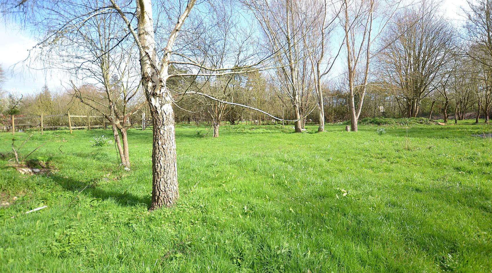 Wellington SOMERSET