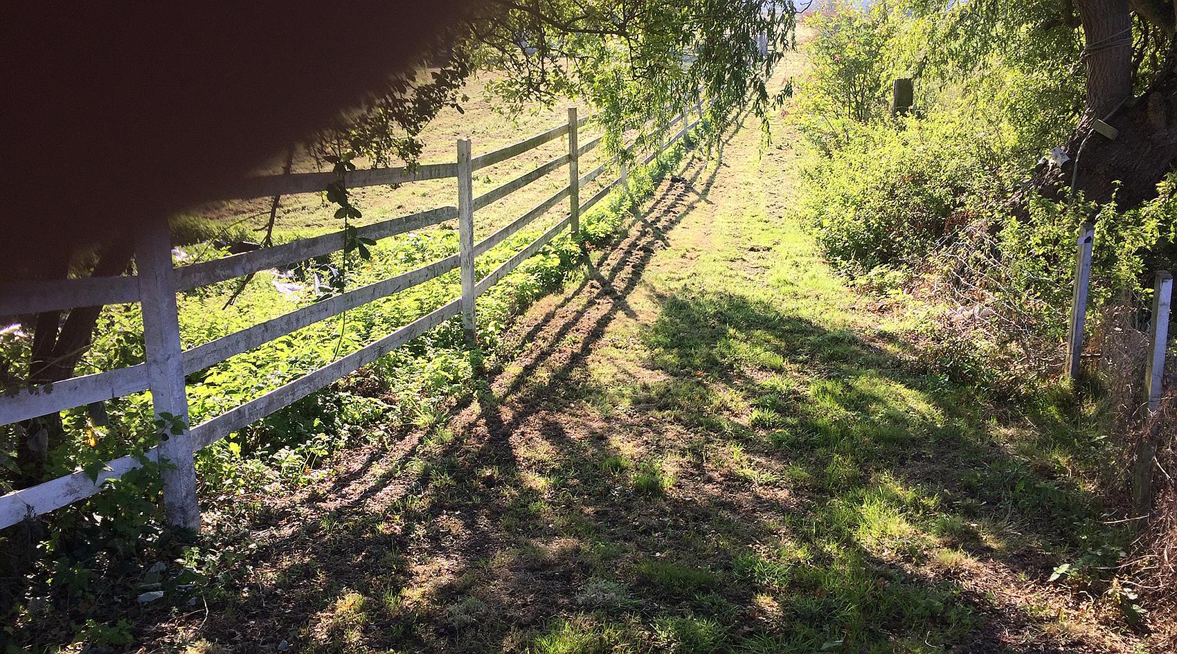 Wisbech CAMBRIDGESHIRE