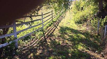Wisbech CAMBRIDGESHIRE