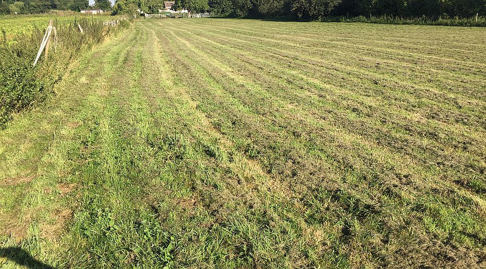 Wisbech CAMBRIDGESHIRE