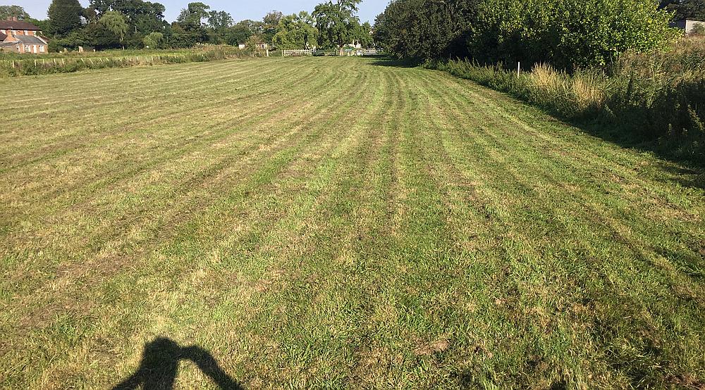 Wisbech CAMBRIDGESHIRE