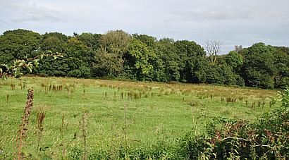 Llangain CARMARTHENSHIRE