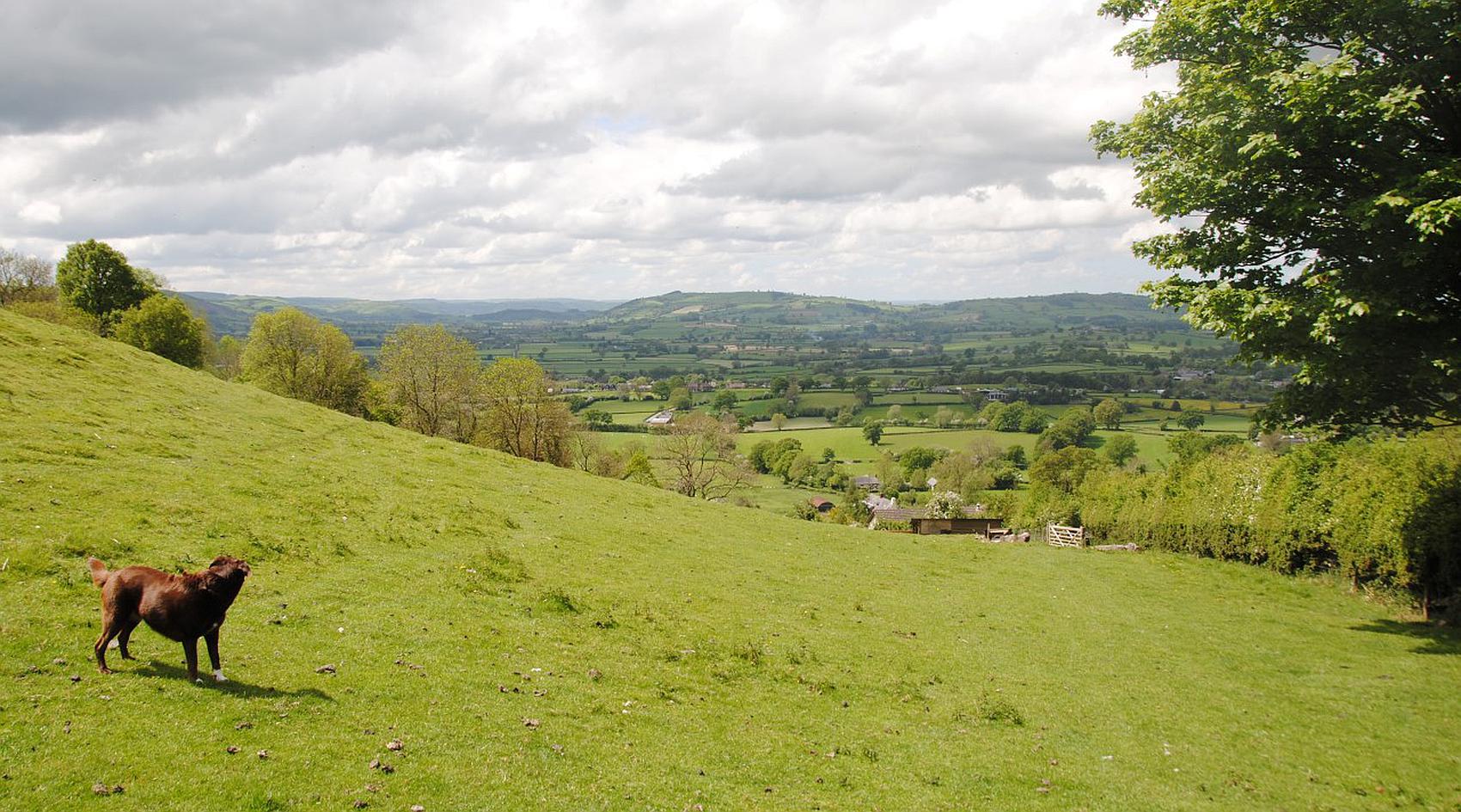 Old Church Stoke POWYS