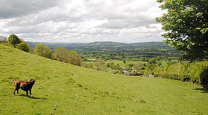 Old Church Stoke POWYS