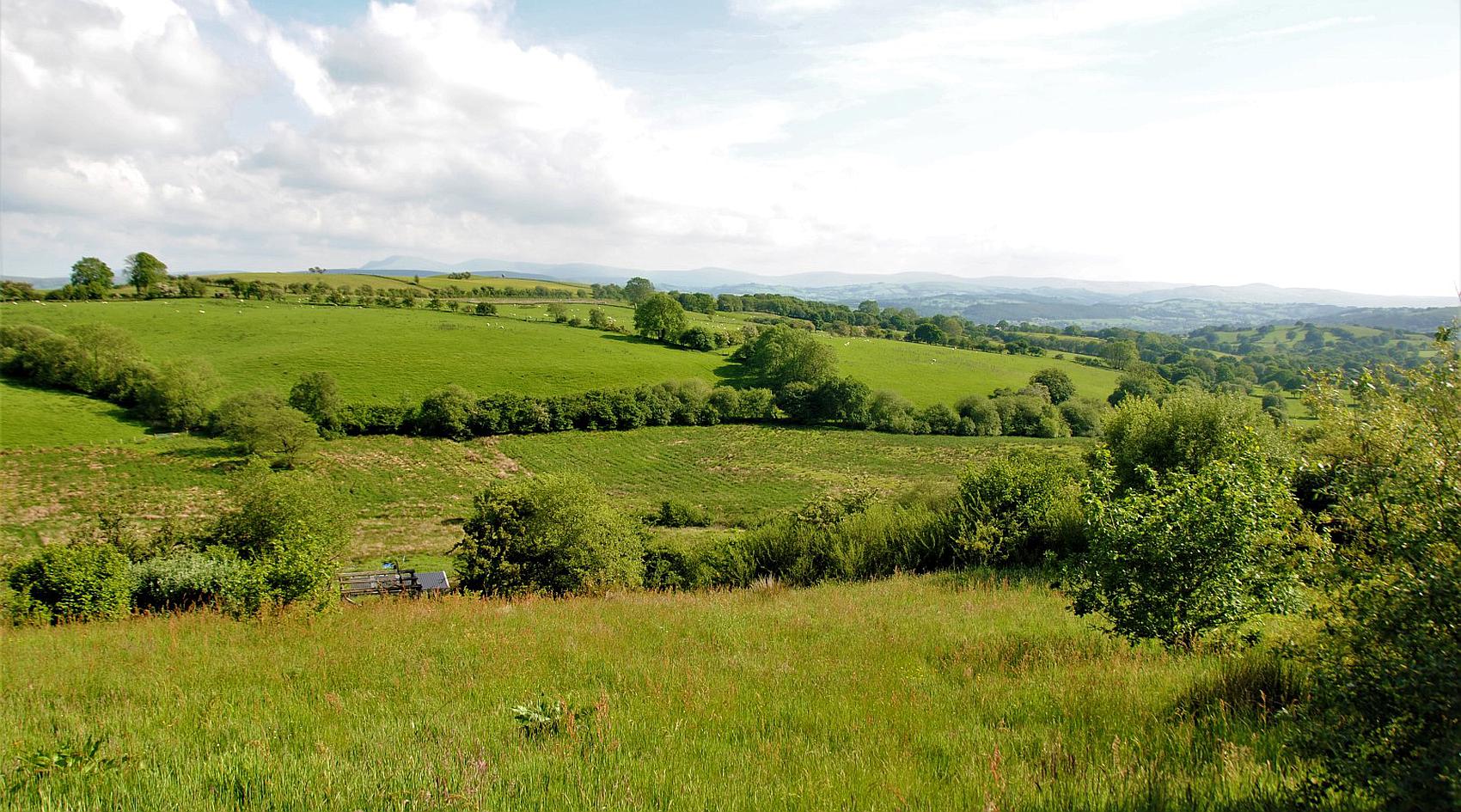 Llandovery CARMARTHENSHIRE