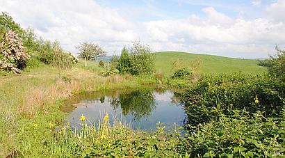 Llandovery CARMARTHENSHIRE