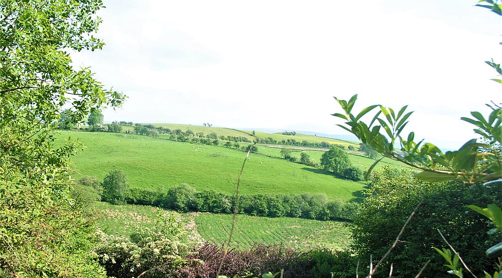 Llandovery CARMARTHENSHIRE