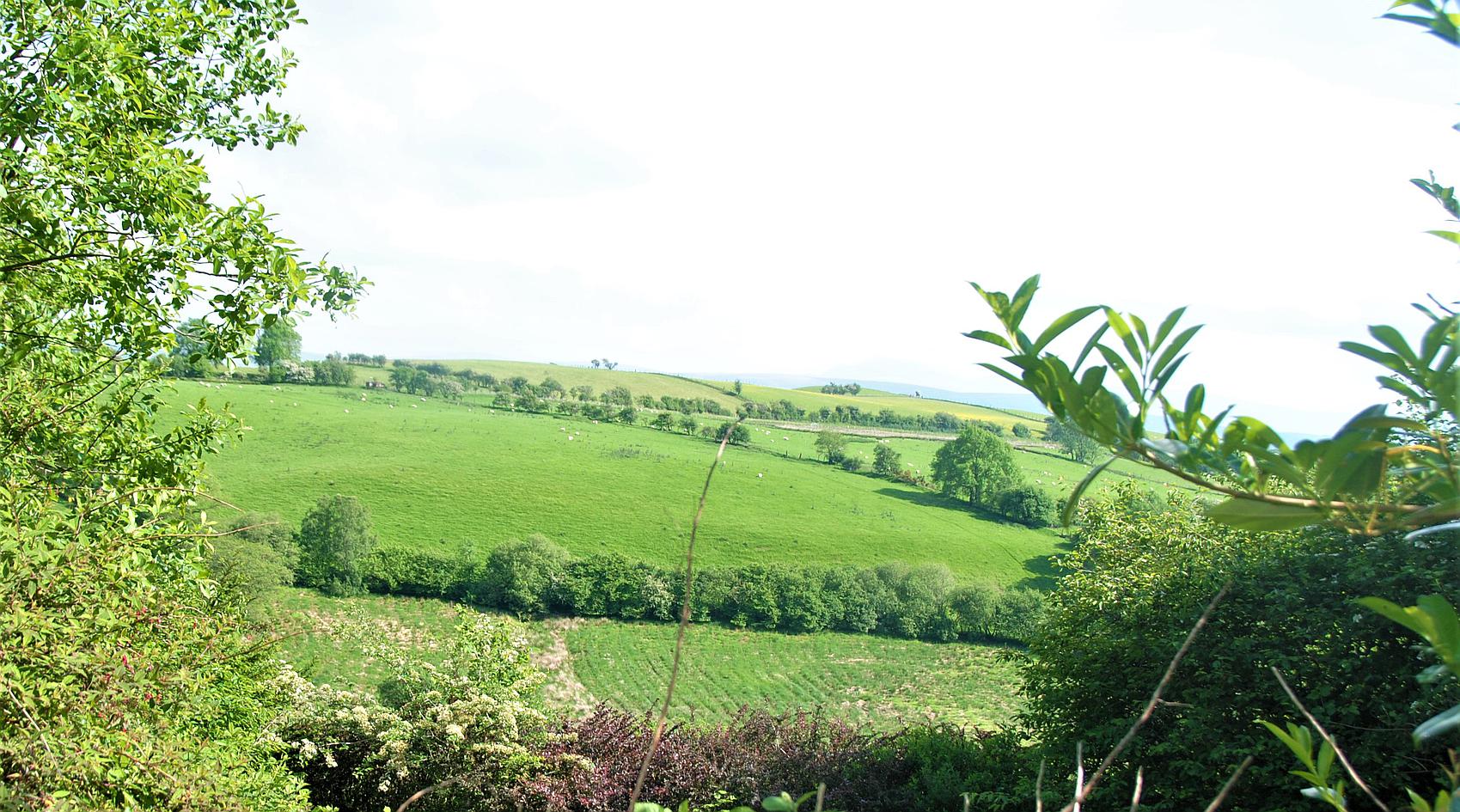 Llandovery CARMARTHENSHIRE