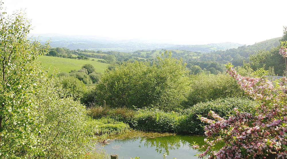 Llandovery CARMARTHENSHIRE