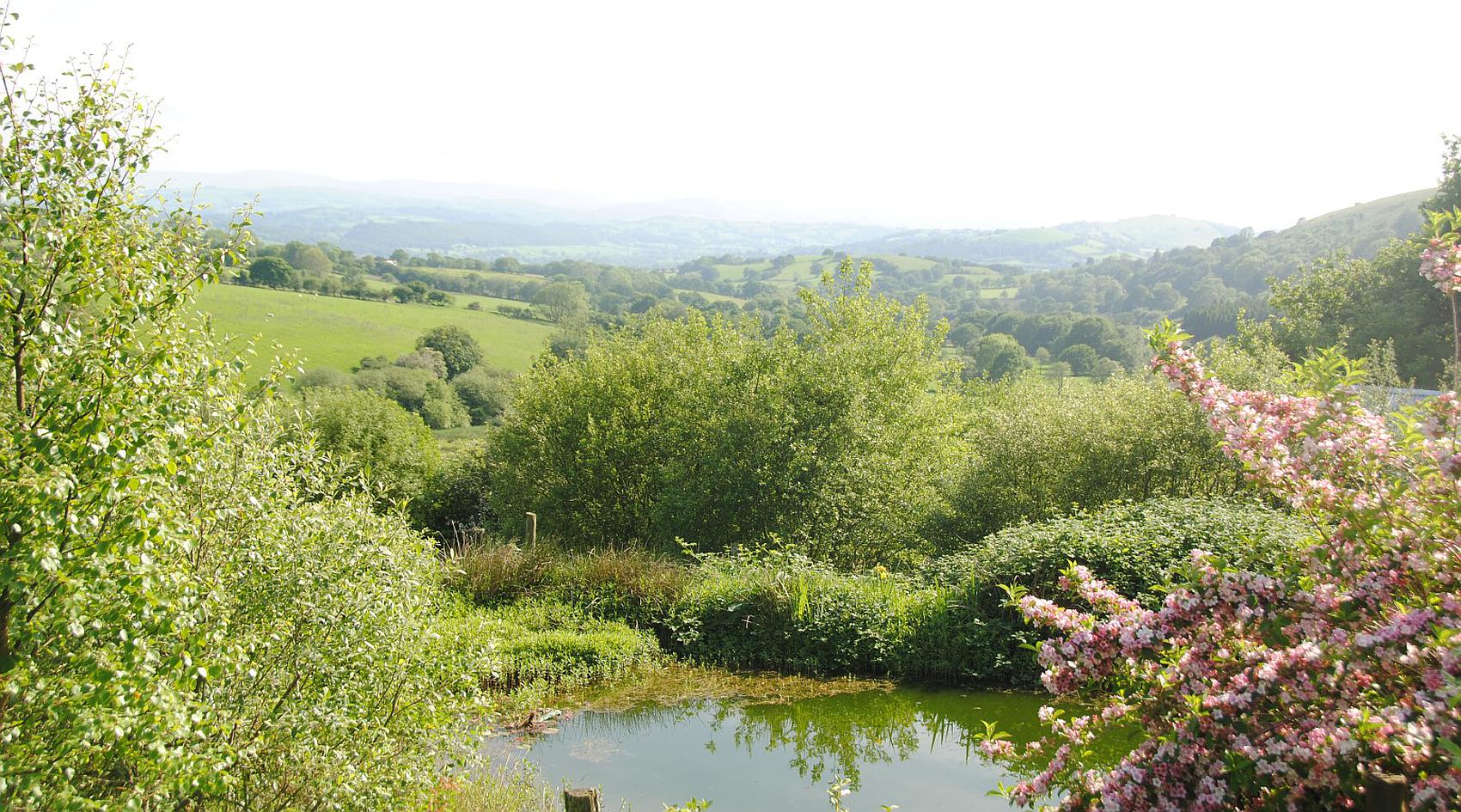 Llandovery CARMARTHENSHIRE