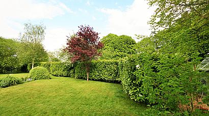 Wedhampton WILTSHIRE