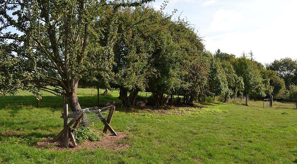 Luston HEREFORDSHIRE