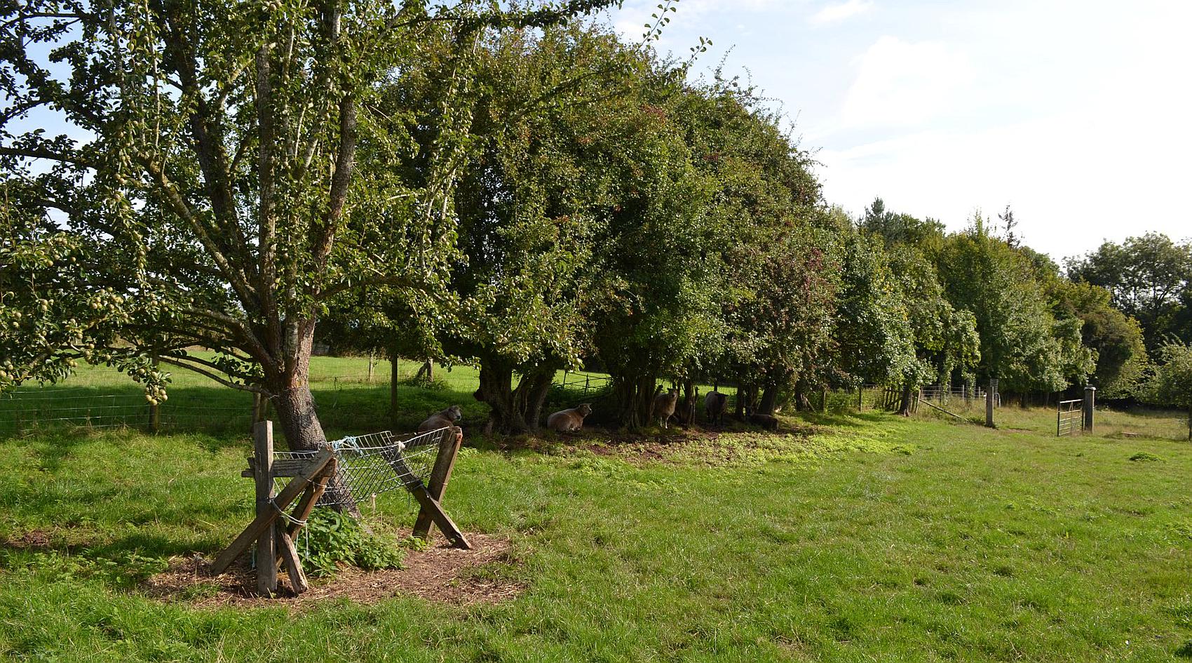 Luston HEREFORDSHIRE