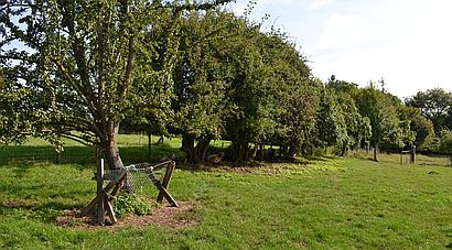 Luston HEREFORDSHIRE