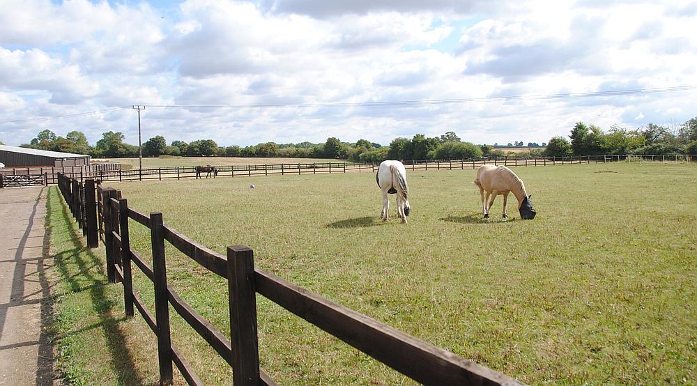Potterspury NORTHAMPTONSHIRE
