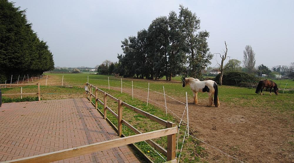 Chawston BEDFORDSHIRE