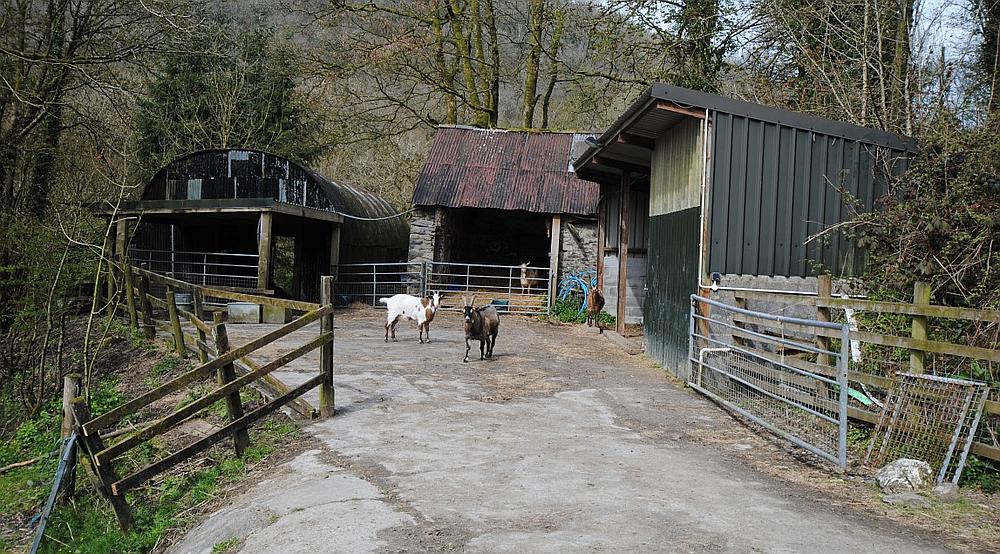 Cwmduad CARMARTHENSHIRE