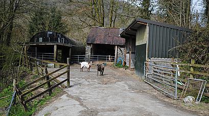 Cwmduad CARMARTHENSHIRE