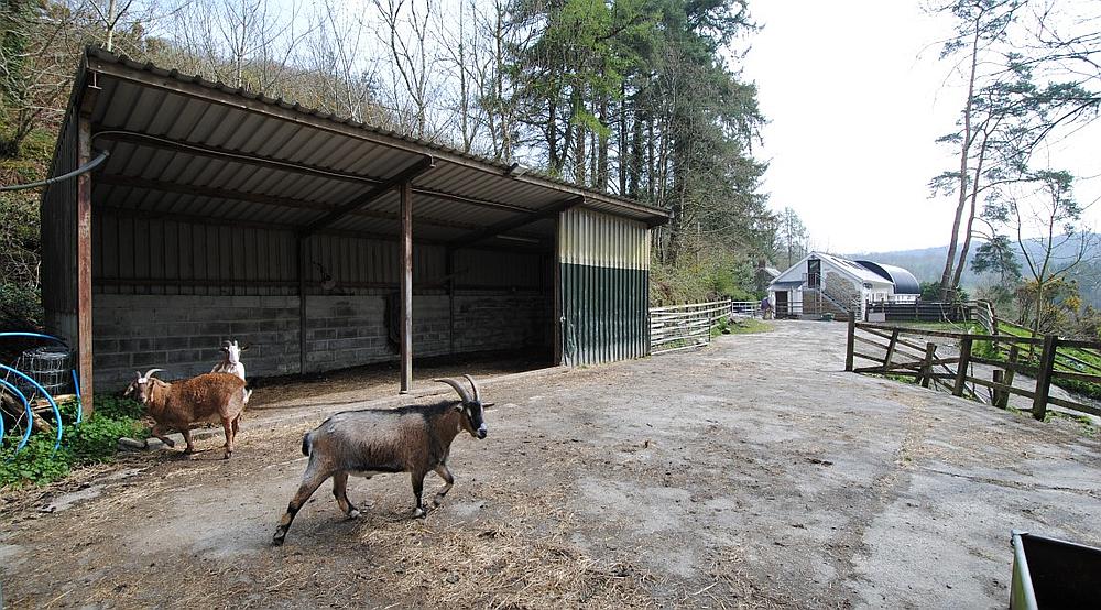 Cwmduad CARMARTHENSHIRE