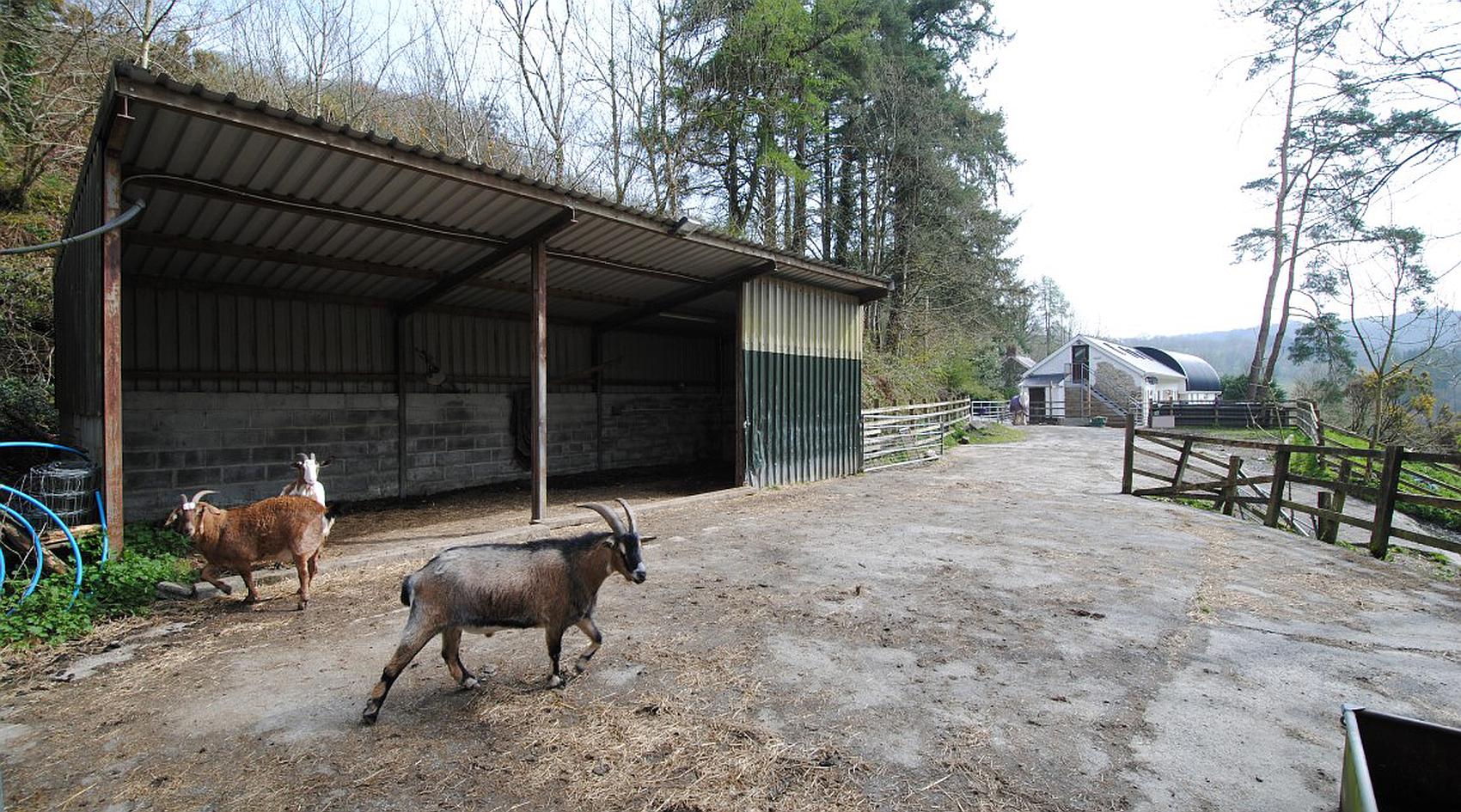 Cwmduad CARMARTHENSHIRE