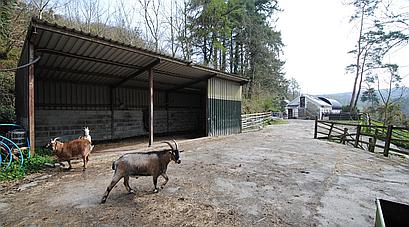 Cwmduad CARMARTHENSHIRE