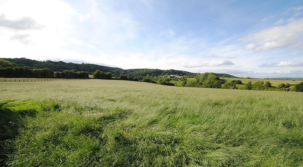 Lydney GLOUCESTERSHIRE