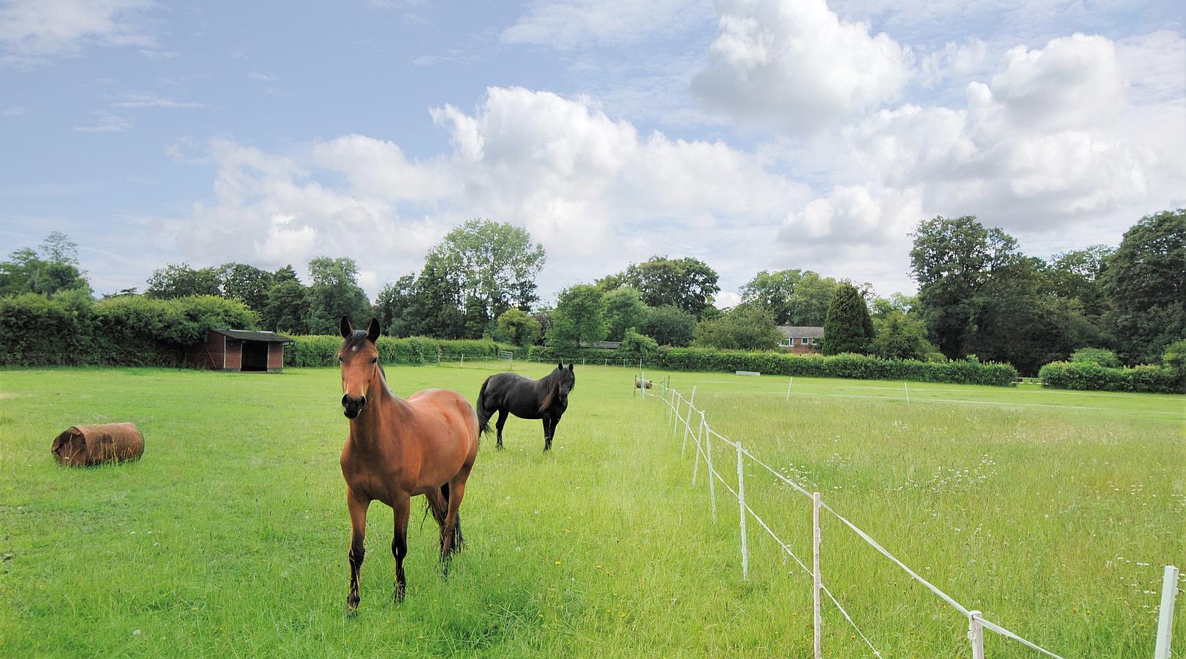 Maidenhead, BERKSHIRE