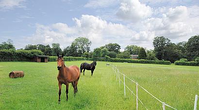 Maidenhead, BERKSHIRE