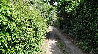 Maidenhead, BERKSHIRE