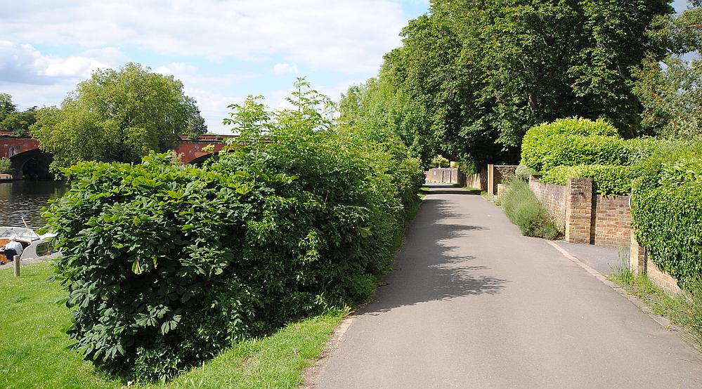 Maidenhead, BERKSHIRE