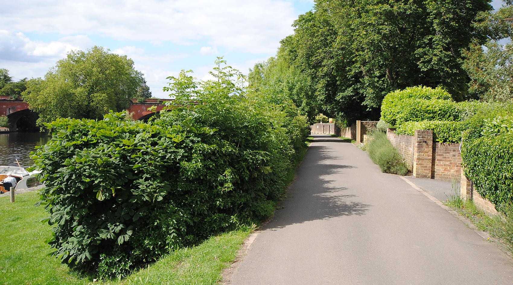 Maidenhead, BERKSHIRE