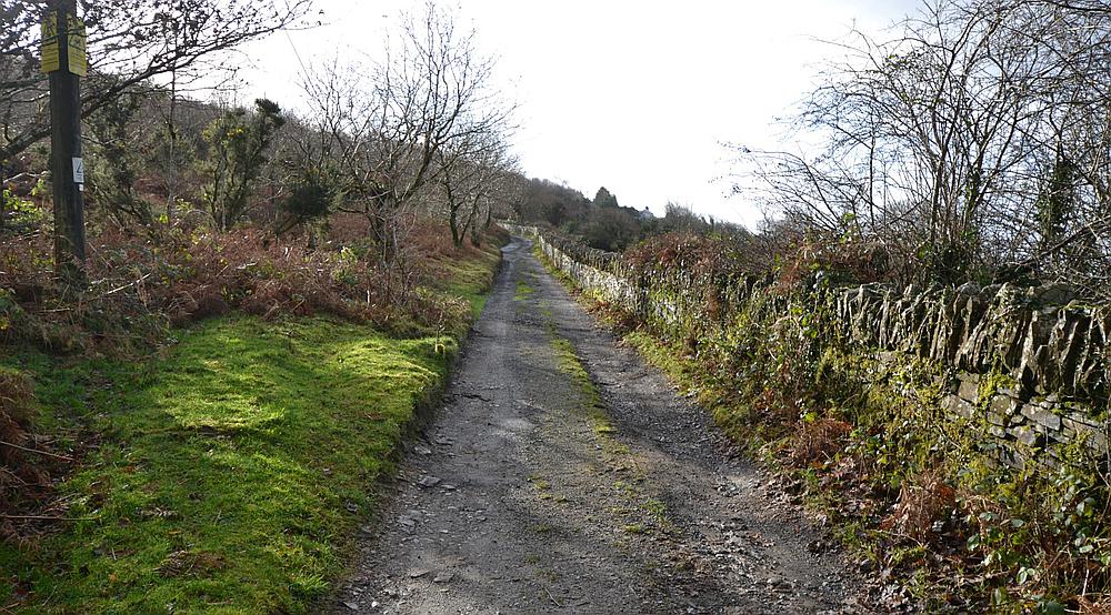 Craig Cefn Parc SWANSEA