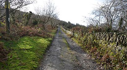 Craig Cefn Parc SWANSEA