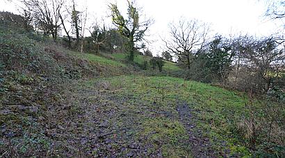 Craig Cefn Parc SWANSEA