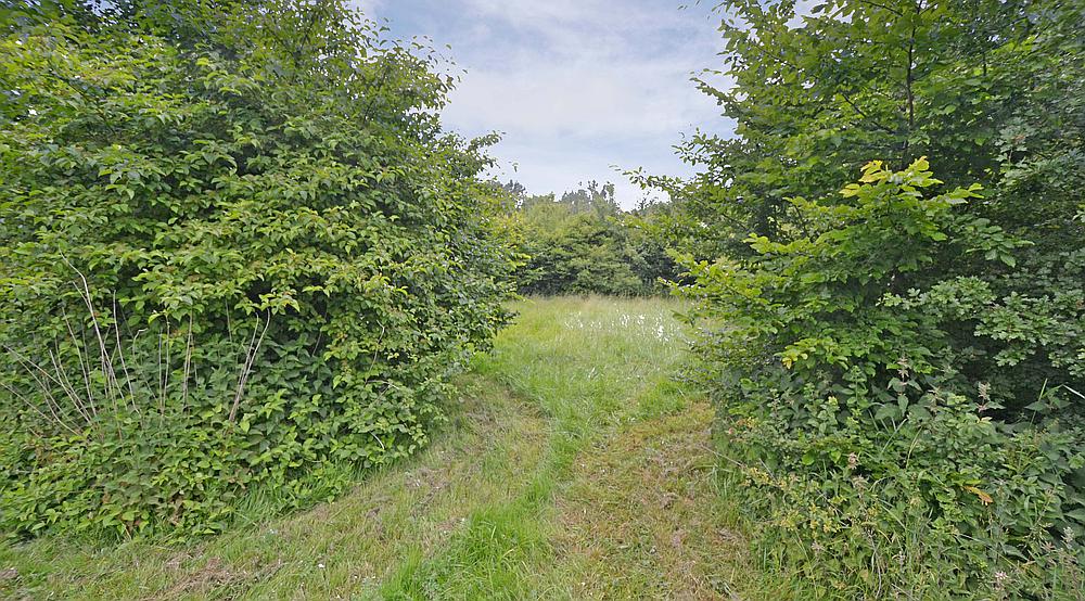 Shillingford OXFORDSHIRE