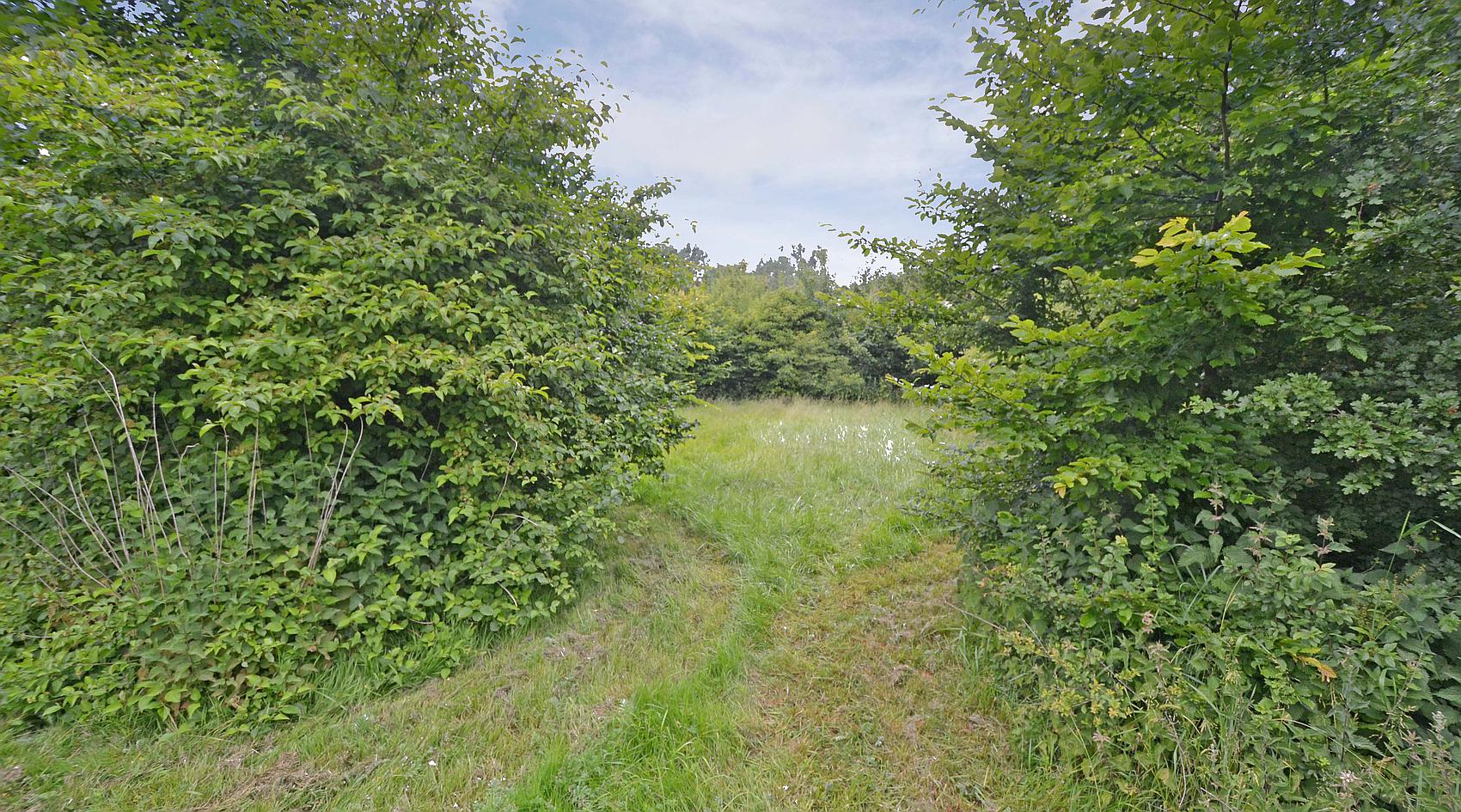 Shillingford OXFORDSHIRE