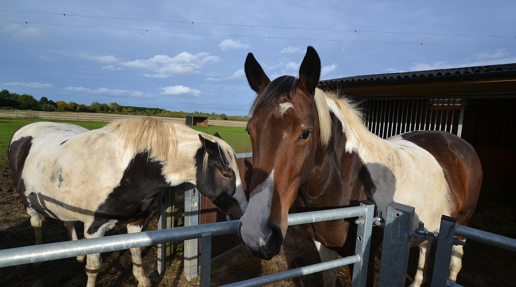 Cleeve Prior WORCESTERSHIRE