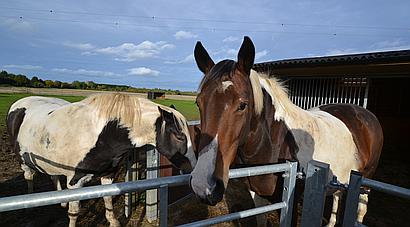 Cleeve Prior WORCESTERSHIRE