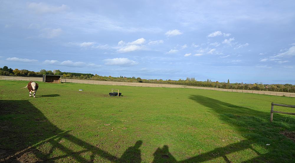 Cleeve Prior WORCESTERSHIRE