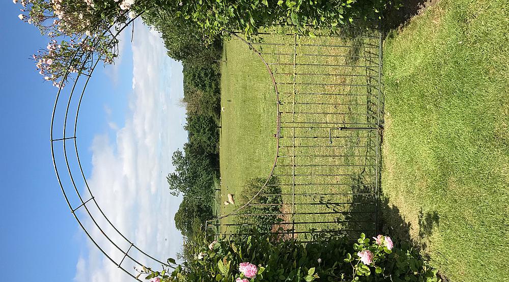 Sherborne Causeway DORSET