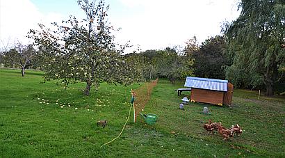 Five Oak Green, KENT