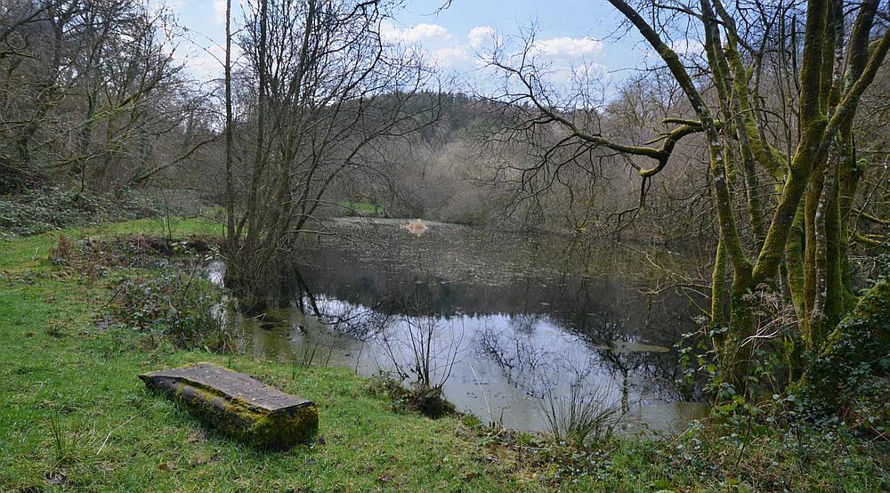 Llandysul CARMARTHENSHIRE