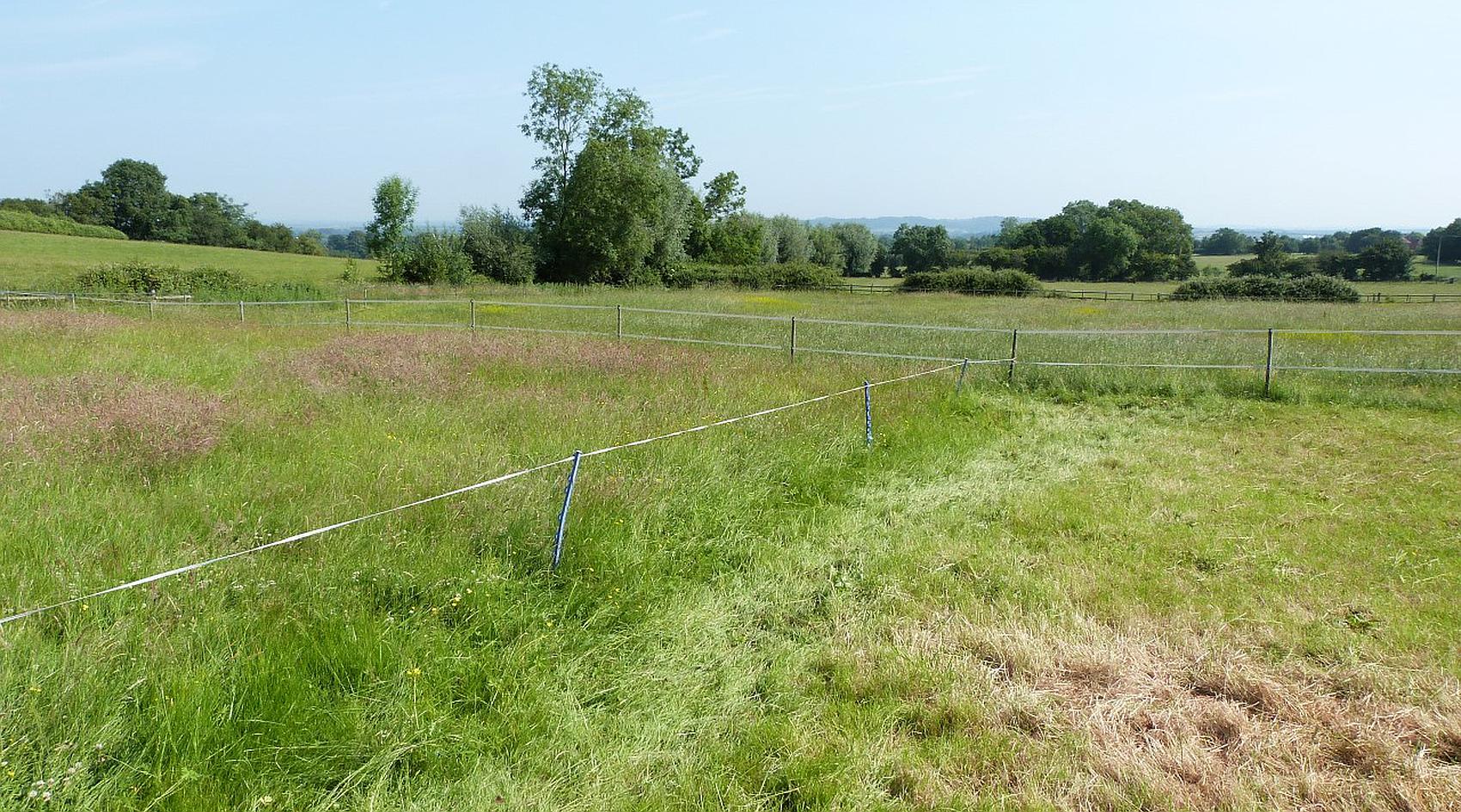 Pershore WORCESTERSHIRE